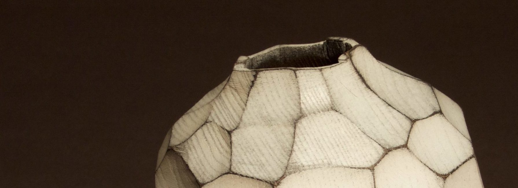 Virtual Woodturning Demos